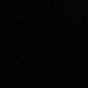 Meet your Posher, Joey